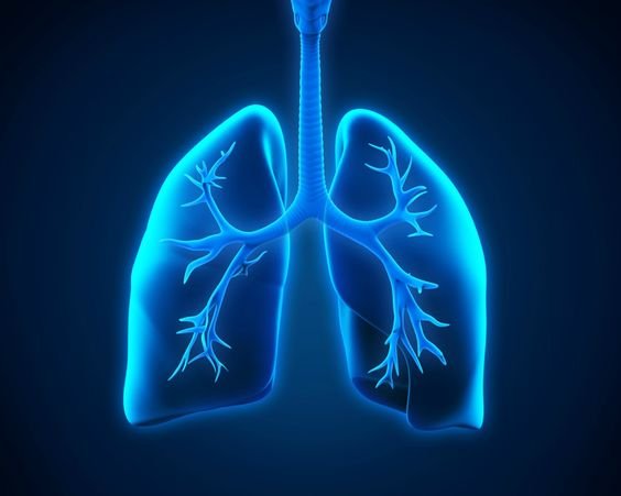 Pulmonary Rehabilitation