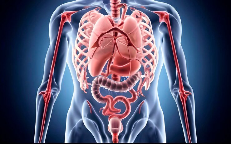 Understanding Sarcoidosis: Unveiling the Enigmatic Disease.