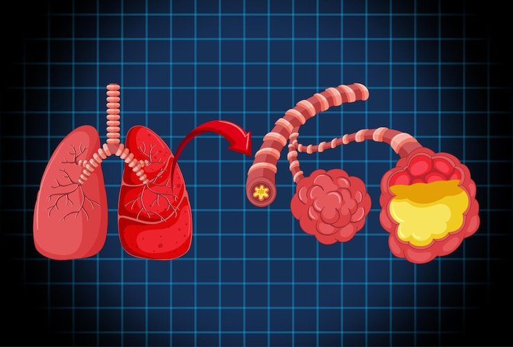 Unveiling Diagnostic Precision: The Role of Lung Biopsy.